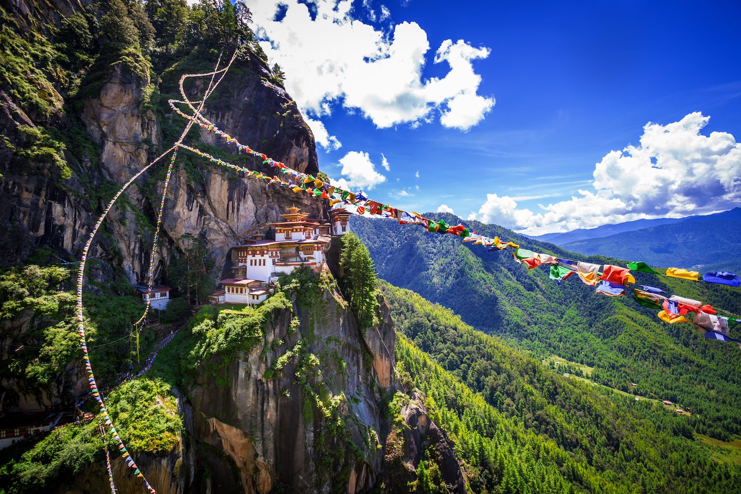 taktshangimage